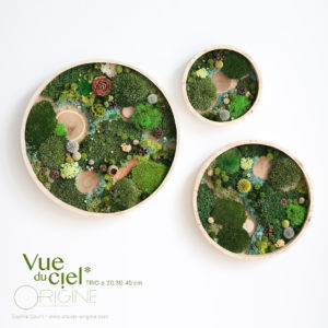 tableau-végétal-vegetaux-stabilisés-foret-vue-du-ciel-DUO-30-40-cm-Origine-atelier-floral