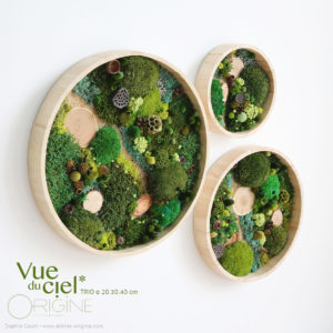 tableau-végétal-vegetaux-stabilisés-foret-vue-du-ciel-DUO-30-40-cm-Origine-atelier-floral