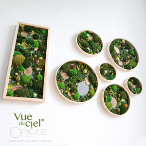 tableau-végétal-vegetaux-stabilisés-foret-vue-du-ciel-trio-Origine-atelier-floral