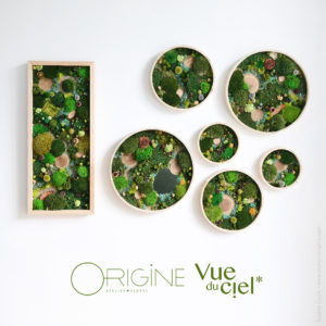 tableau-végétal-vegetaux-stabilisés-foret-vue-du-ciel-trio-Origine-atelier-floral