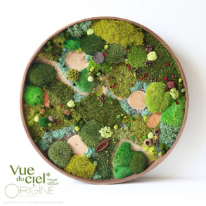 tableau-végétal-végétaux-stabilisés-forêt-vue-du-ciel-cadre-rond-en-noyer-50-cm-Origine-atelier-floral