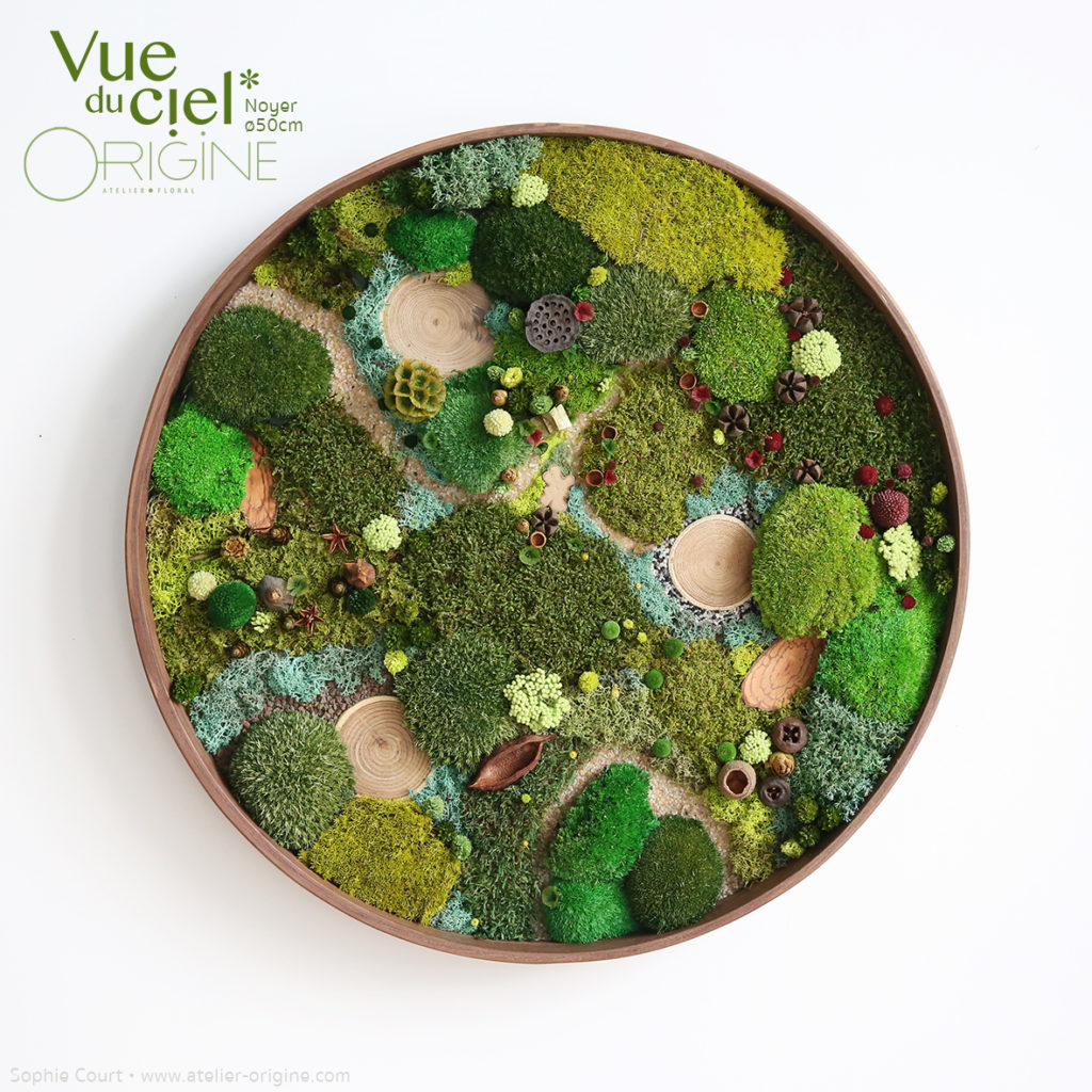 tableau-végétal-végétaux-stabilisés-forêt-vue-du-ciel-cadre-rond-en-noyer-50-cm-Origine-atelier-floral