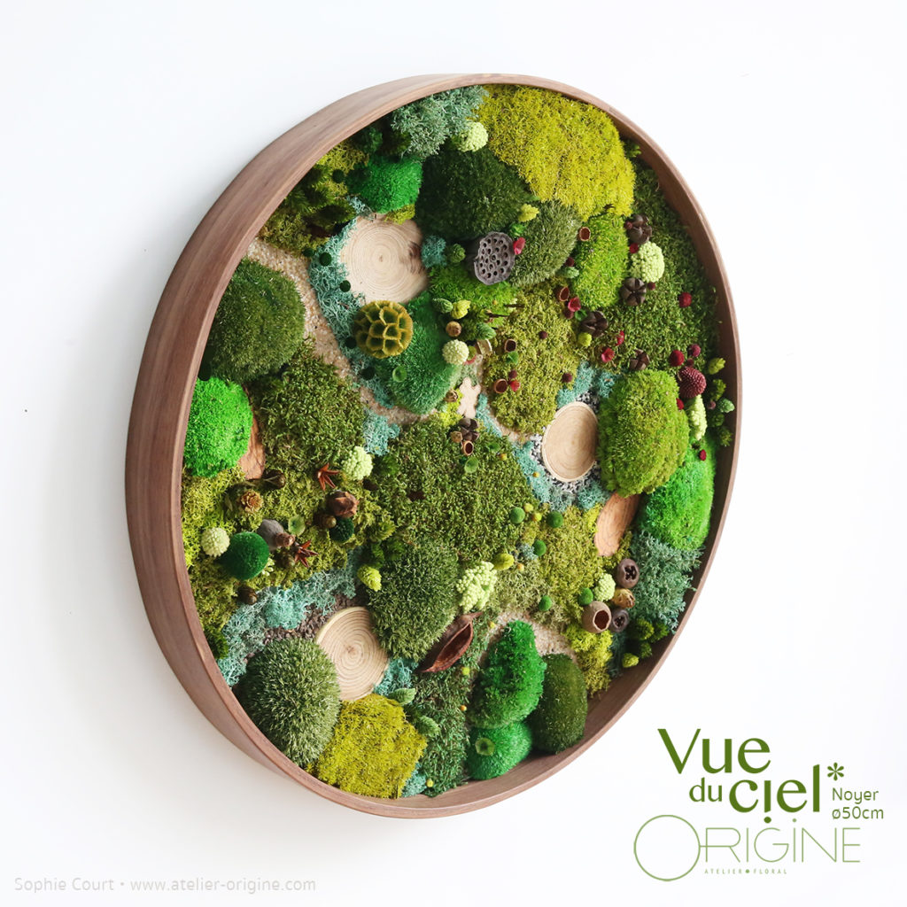 tableau-végétal-végétaux-stabilisés-forêt-vue-du-ciel-cadre-rond-en-noyer-50-cm-Origine-atelier-floral