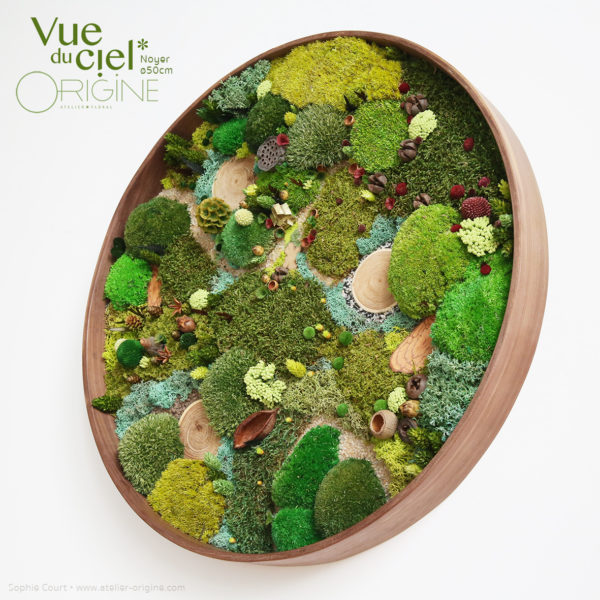 tableau-végétal-végétaux-stabilisés-forêt-vue-du-ciel-cadre-rond-en-noyer-50-cm-Origine-atelier-floral