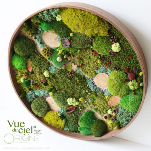 tableau-végétal-végétaux-stabilisés-forêt-vue-du-ciel-cadre-rond-en-noyer-50-cm-Origine-atelier-floral