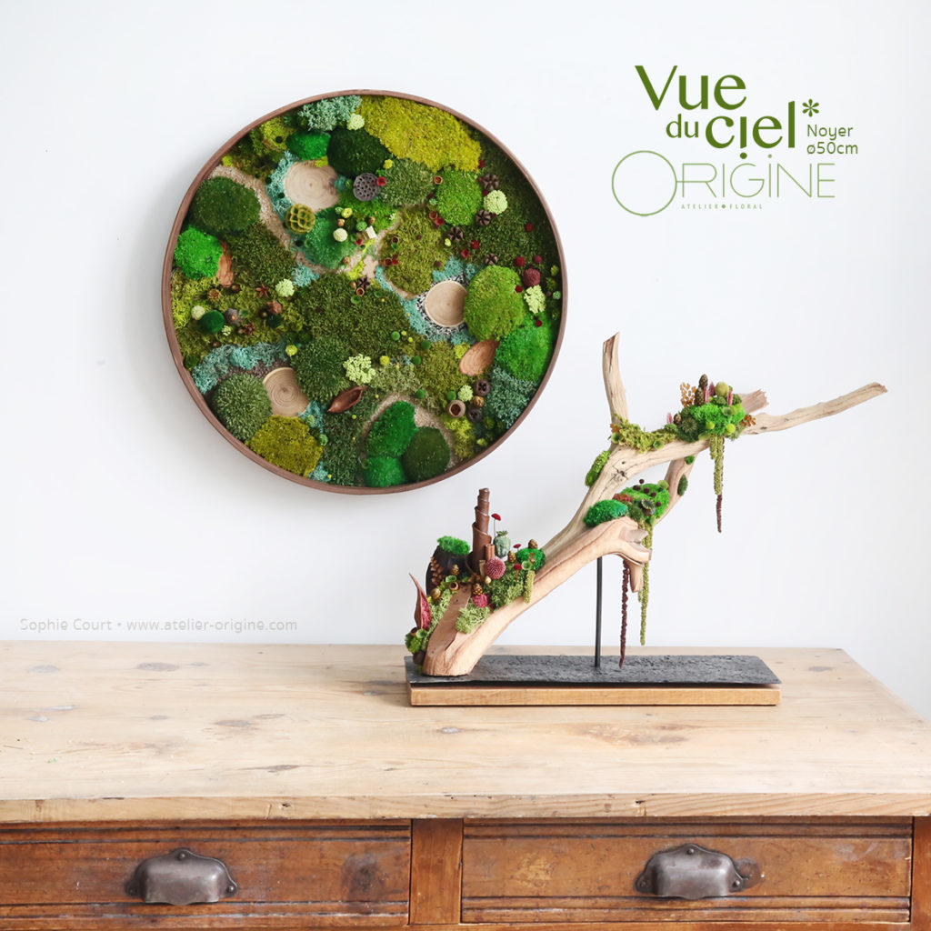 tableau-végétal-végétaux-stabilisés-forêt-vue-du-ciel-cadre-rond-en-noyer-50-cm-Origine-atelier-floral