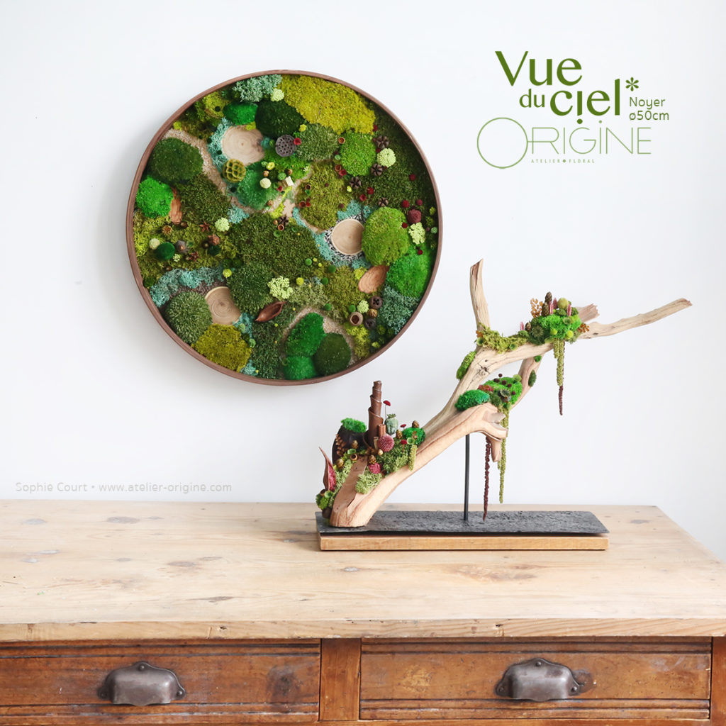 tableau-végétal-végétaux-stabilisés-forêt-vue-du-ciel-cadre-rond-en-noyer-50-cm-Origine-atelier-floral