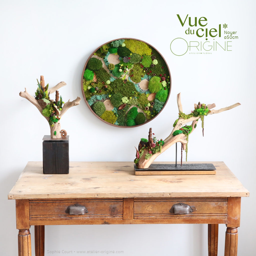 tableau-végétal-végétaux-stabilisés-forêt-vue-du-ciel-cadre-rond-en-noyer-50-cm-Origine-atelier-floral