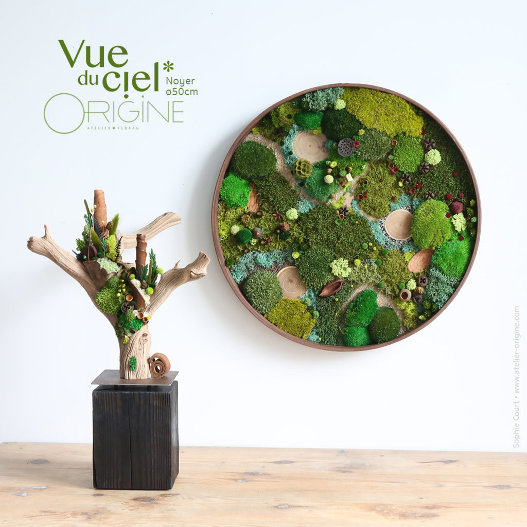 tableau-végétal-végétaux-stabilisés-forêt-vue-du-ciel-cadre-rond-en-noyer-50-cm-Origine-atelier-floral