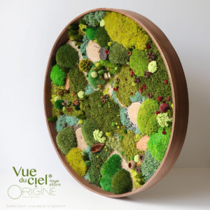 tableau-végétal-végétaux-stabilisés-forêt-vue-du-ciel-cadre-rond-en-noyer-50-cm-Origine-atelier-floral