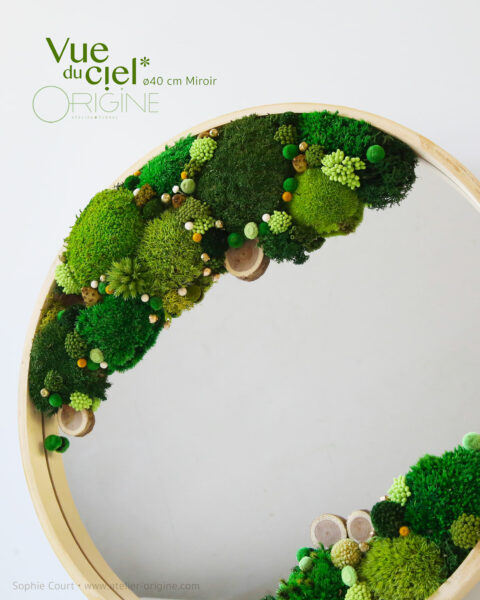 tableau végétal foret vue du ciel miroir vegetaux stabilisés origine atelier floral 1
