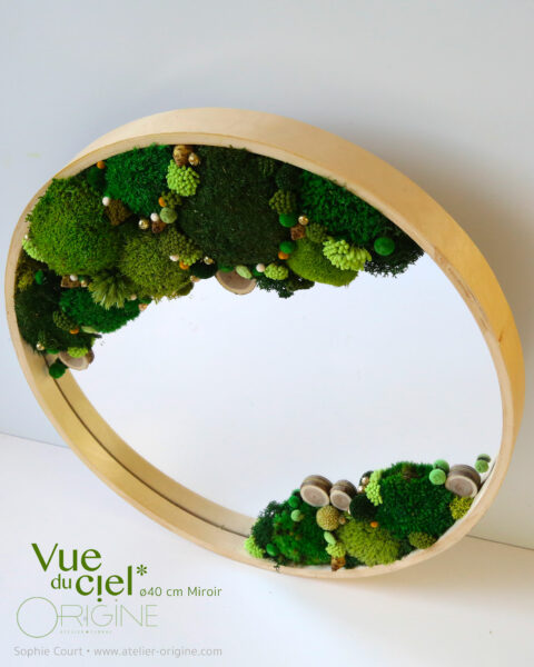 tableau végétal foret vue du ciel miroir vegetaux stabilisés origine atelier floral 1
