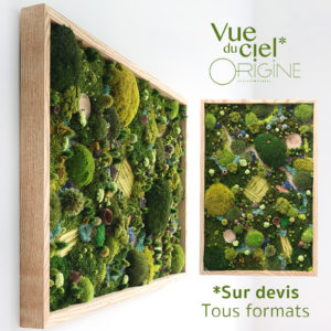 tableau-végétal-foret-vue-du-ciel-origine-atelier-floral-végétaux-stabilisés-et-séchés sur devis tous formats