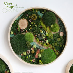 tableau-végétal-oeuvre-végétale-stabilisée-foret-vue-du-ciel-origine-atelier-floral