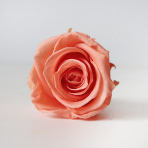 rose-stabilisées-bouquet-de-mariée-origine-atelier-floral