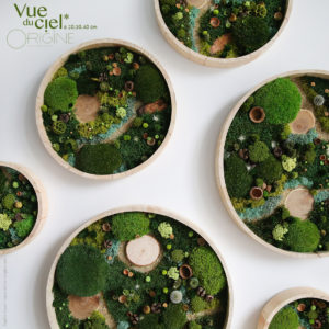 tableau-végétal-foret-vue-du-ciel-6-tableaux-vegetaux-stabilisés-origine-atelier-floral
