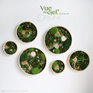 tableau-végétal-foret-vue-du-ciel-6-tableaux-vegetaux-stabilisés-origine-atelier-floral