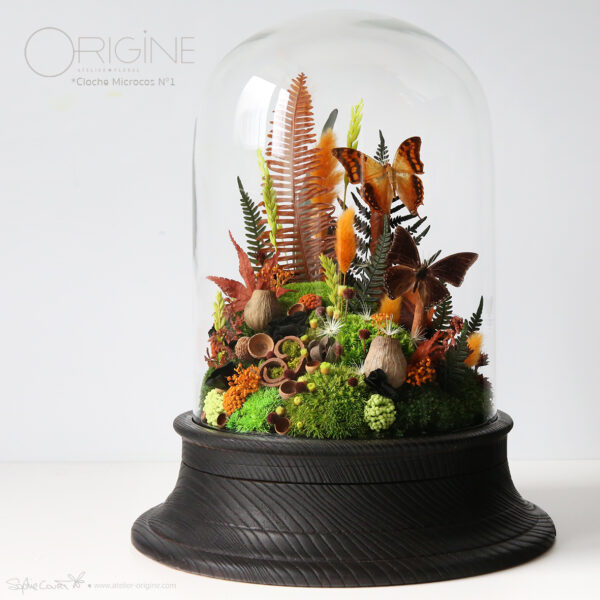 cloche-de-fleurs-séchées-stabilisées-papillon-globe-cloche-microcos-frene-brulé-origine-atelier-floral