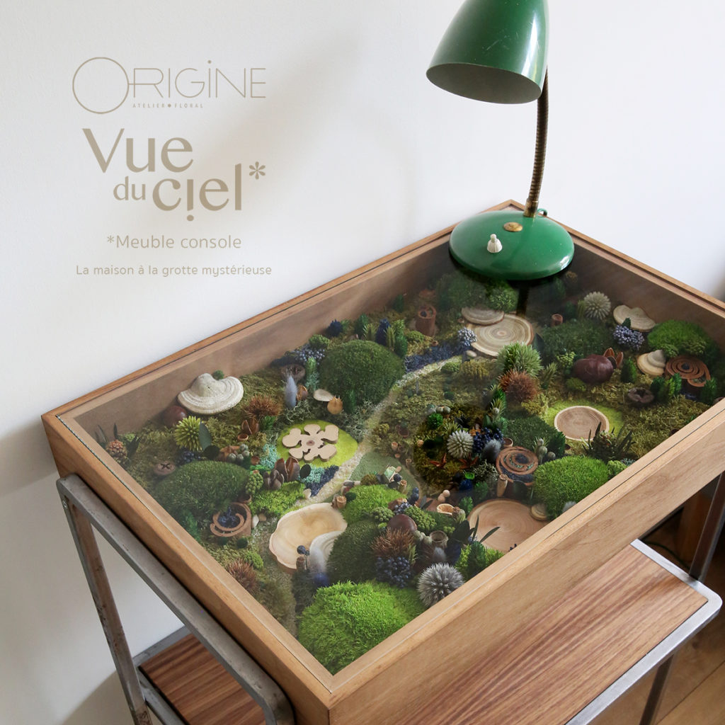 meuble-console-tableau-végétal-foret-vue-du-ciel-la-maison-à-la-grotte-mysterieuse-origine-atelier-floral