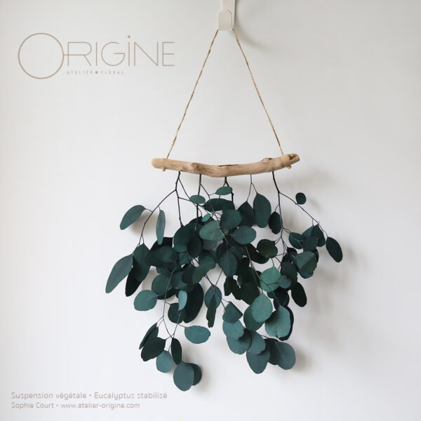 suspension-végétale-eucalyptus-populus-stabilisé-bois-flotté-origine-atelier-floral