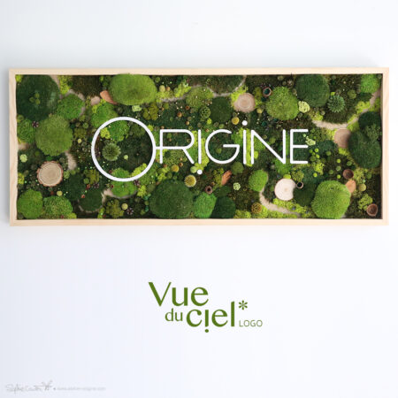 Forêt VUE DU CIEL * Avec votre LOGO • SUR DEVIS
