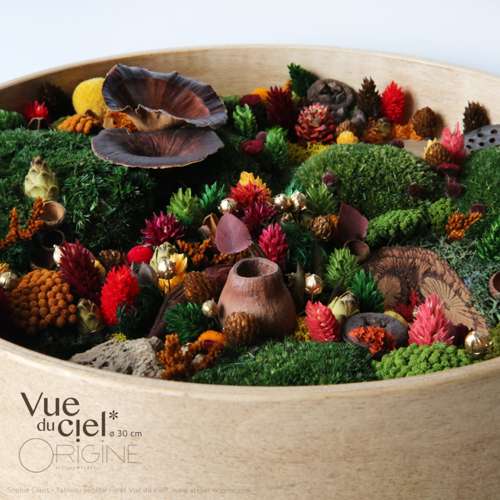 tableau-végétal-foret-vue-du-ciel-vegetaux-stabilisés-automne-origine-atelier-floral