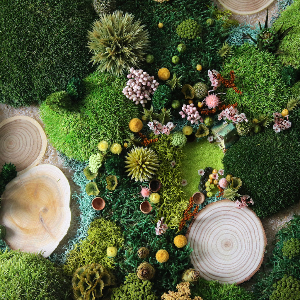 tableau-végétal-vegetaux-stabilisés-durable-foret-vue-du-ciel-printemps-été-origine-atelier-floral