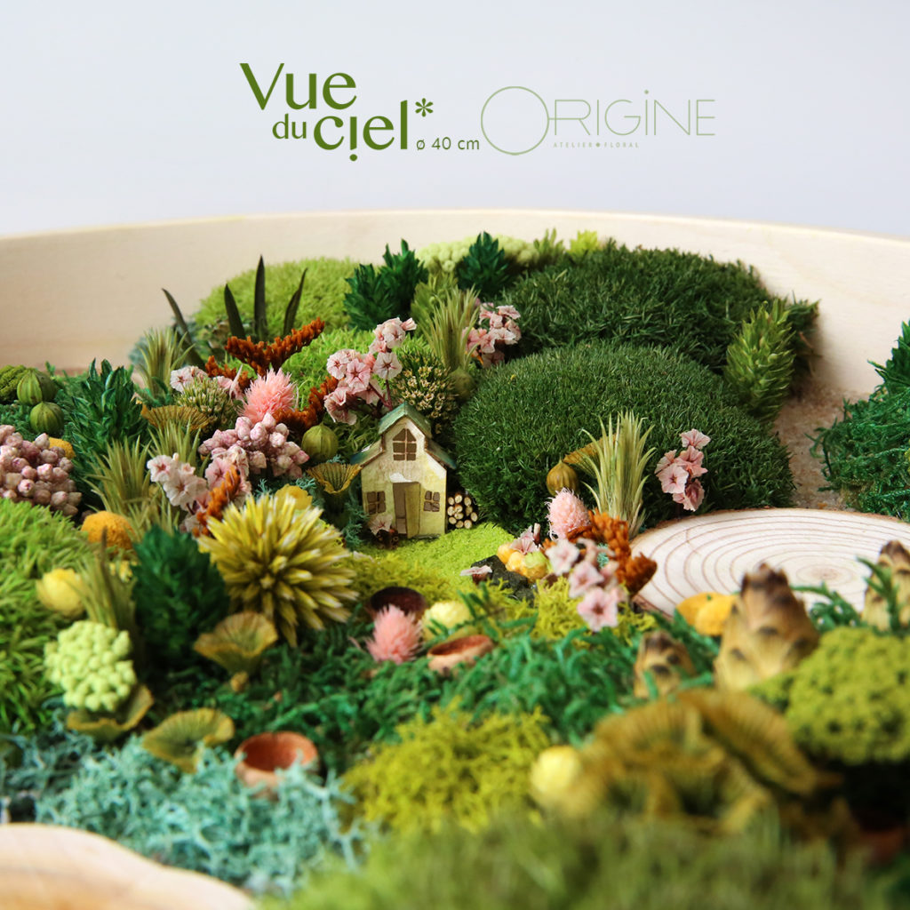 tableau-végétal-vegetaux-stabilisés-durable-foret-vue-du-ciel-printemps-été-origine-atelier-floral