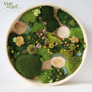 tableau-végétal-vegetaux-stabilisés-durable-foret-vue-du-ciel-printemps-été-origine-atelier-floral
