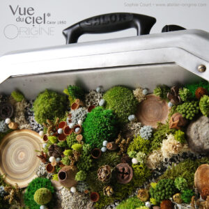 chauffage-calor-vintage-tableau-végétal-foret-vue-du-ciel-détournement-d'objet-origine-atelier-floral