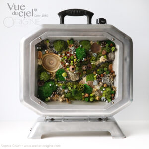 chauffage-calor-vintage-tableau-végétal-foret-vue-du-ciel-détournement-d'objet-origine-atelier-floral