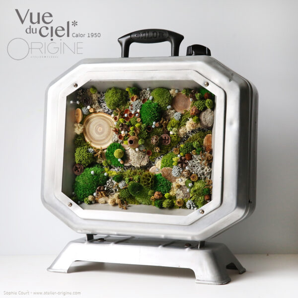 chauffage-calor-vintage-tableau-végétal-foret-vue-du-ciel-détournement-d'objet-origine-atelier-floral
