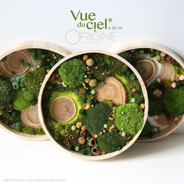 Forêt Vue du ciel • Trio 30 cm