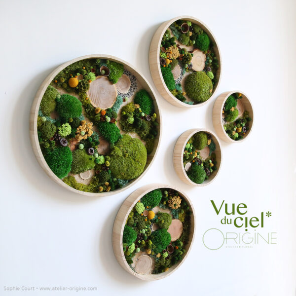 tableau-végétal-foret-vue-du-ciel-vegetaux-stabilisés-5-tableaux-origine-atelier-floral.3