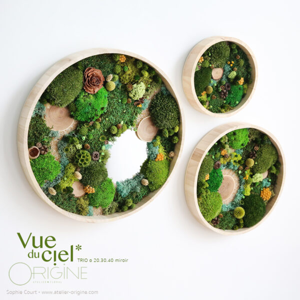 Forêt Vue du ciel • Trio 20, 30, 40 cm Miroir