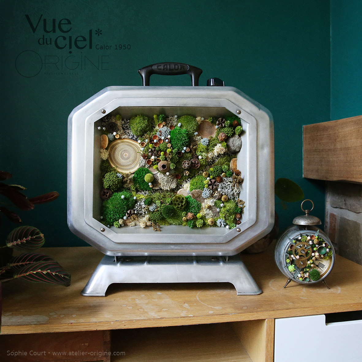 chauffage-calor-vintage-tableau-végétal-foret-vue-du-ciel-détournement-d'objet-origine-atelier-floral21