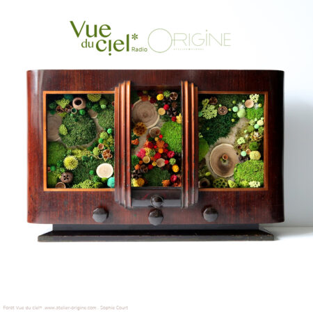 tableau-végétal-caisson-radio-boite-à-musique-végétale-objet-détourné-origine-atelier-floral-