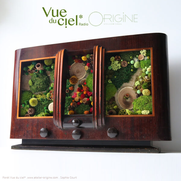 tableau-végétal-caisson-radio-boite-à-musique-végétale-objet-détourné-origine-atelier-floral-