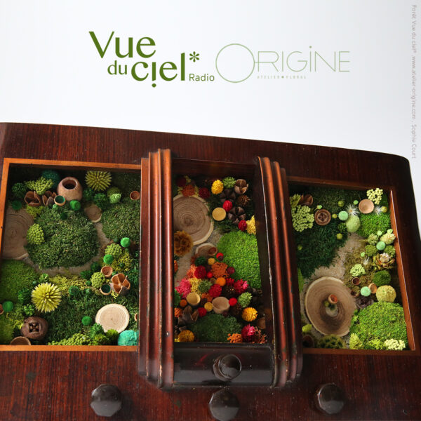 tableau-végétal-caisson-radio-boite-à-musique-végétale-objet-détourné-origine-atelier-floral-