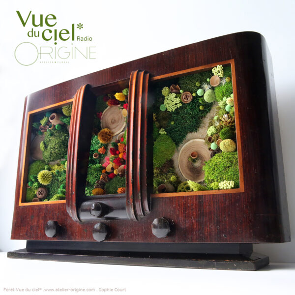 tableau-végétal-caisson-radio-boite-à-musique-végétale-objet-détourné-origine-atelier-floral-
