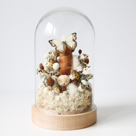 Cloche Forêt imaginaire • Microcos Pure