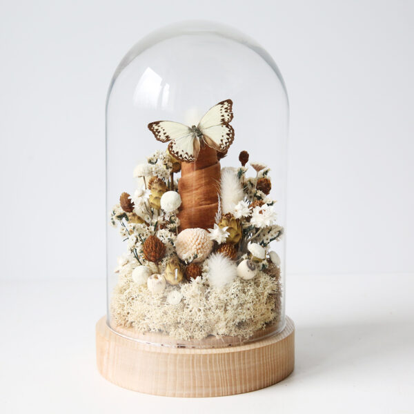Cloche Forêt imaginaire • Microcos Pure