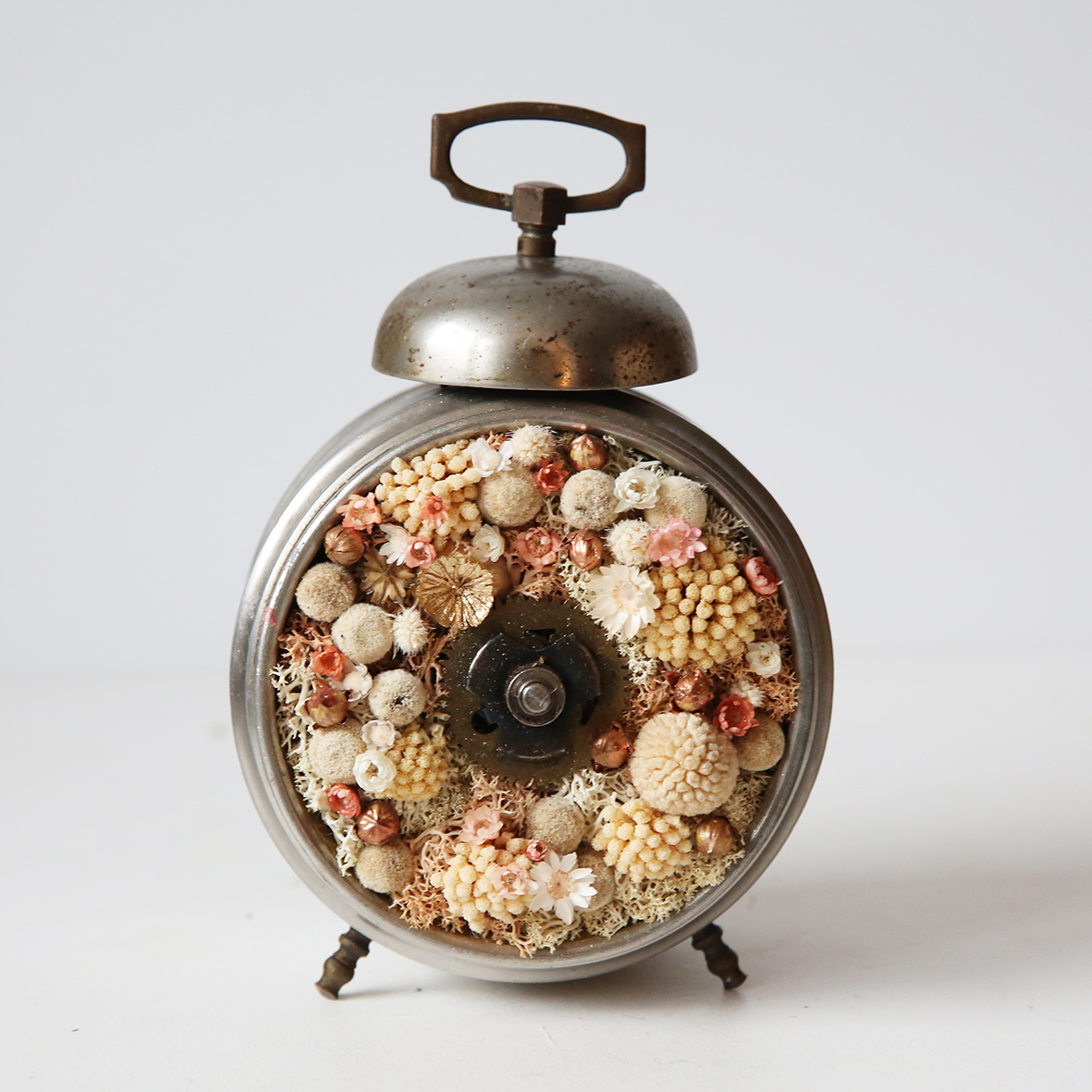 reveil-vintage-végétal-la-nature-reprend-ses-droits-origine-atelier-floral-collection-chronos