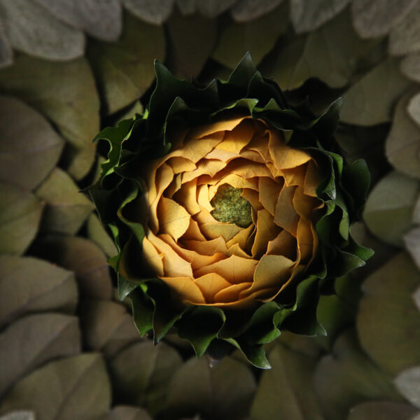 tableau-végétal-feuilles-stabilisées-eucalyptus-décoration-végétale-origine-atelier-floral-tableau-eruption-volcan