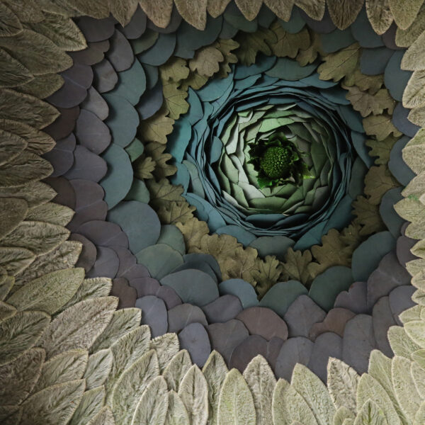 tableau-végétal-feuilles-stabilisées-eucalyptus-décoration-végétale-origine-atelier-floral-tableau-eruption-volcan