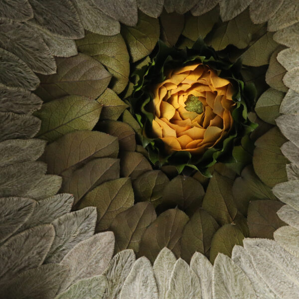 tableau-végétal-feuilles-stabilisées-eucalyptus-décoration-végétale-origine-atelier-floral-tableau-eruption-volcan
