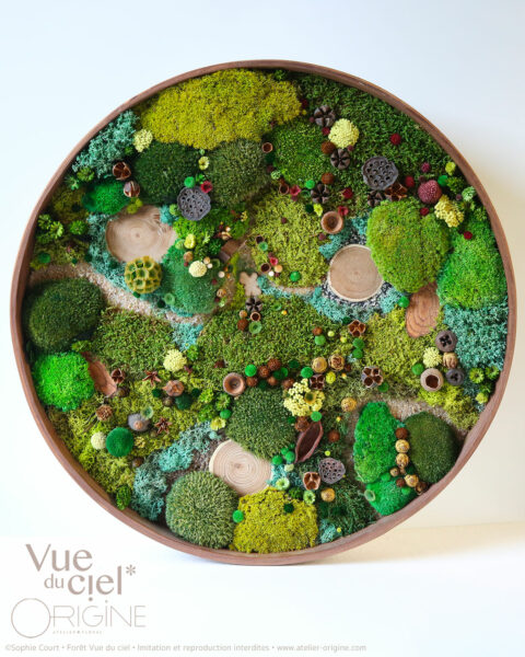 foret-vue-du-ciel-vegetaux-stabilisés-le-cabanon-du-cerf-origine-atelier-floral-sophie-court