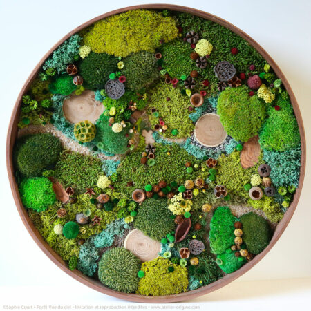 foret-vue-du-ciel-vegetaux-stabilisés-le-cabanon-du-cerf-origine-atelier-floral-sophie-court