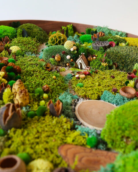 foret-vue-du-ciel-vegetaux-stabilisés-le-cabanon-du-cerf-origine-atelier-floral-sophie-court