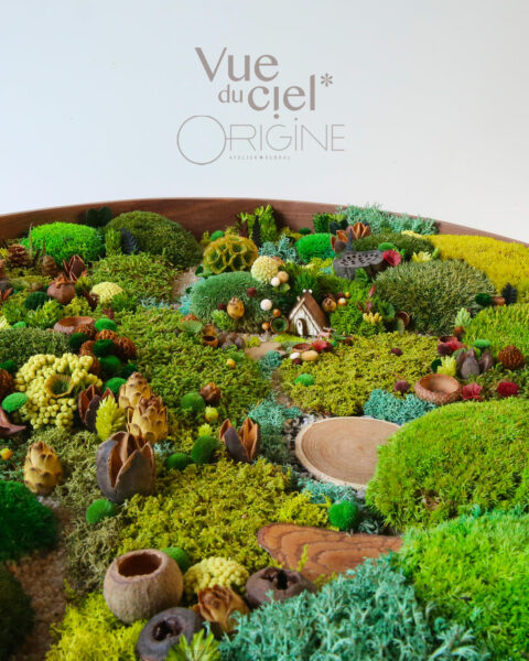 foret-vue-du-ciel-vegetaux-stabilisés-le-cabanon-du-cerf-origine-atelier-floral-sophie-court